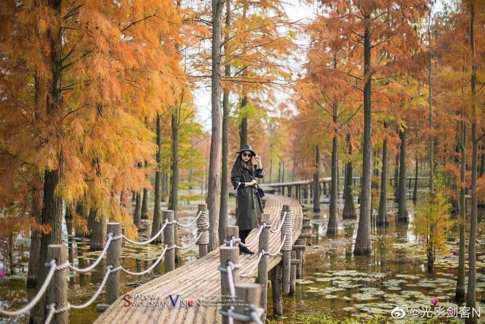 沪江开心词场