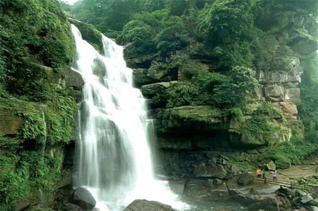 小猫钓鱼游戏龙王版有船