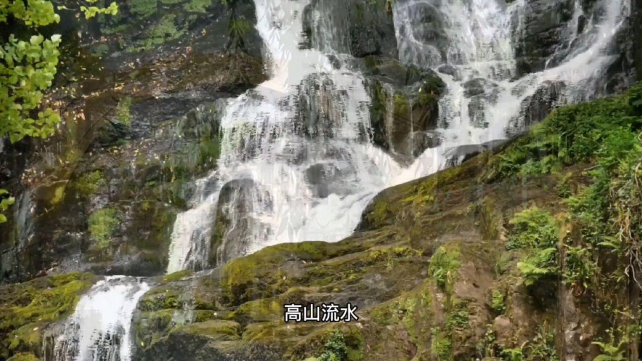蓝狐视频